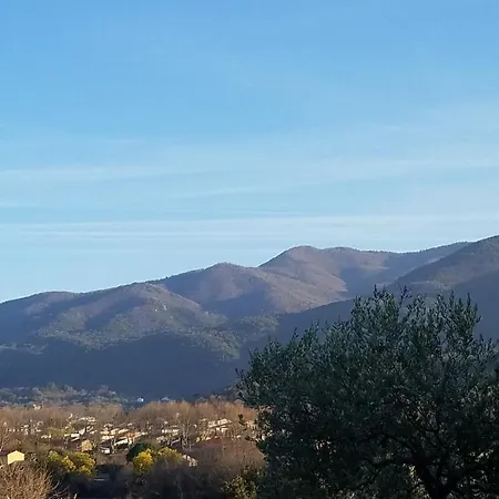 Cure Ou Avec Wifi Et Parking Et A 100m Des Thermes Amelie-les-Bains-Palalda