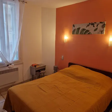 Lumineux, Equipe, A 100m Des Thermes Amélie-les-Bains-Palalda